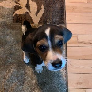 Meet your Posher, Russell